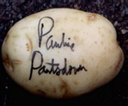 A Potato; A Receiver of Anal Sex; Pauline Hanson: Can you spot the difference?